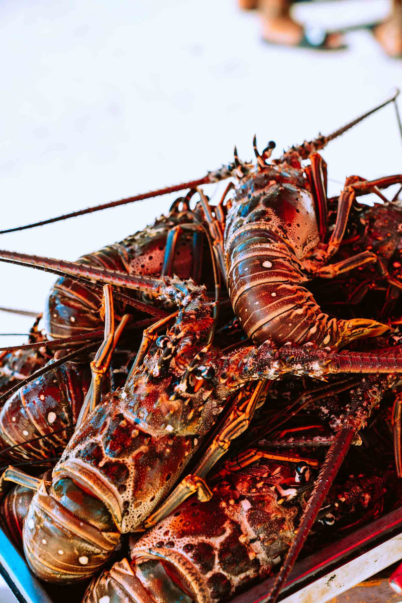 Seafood